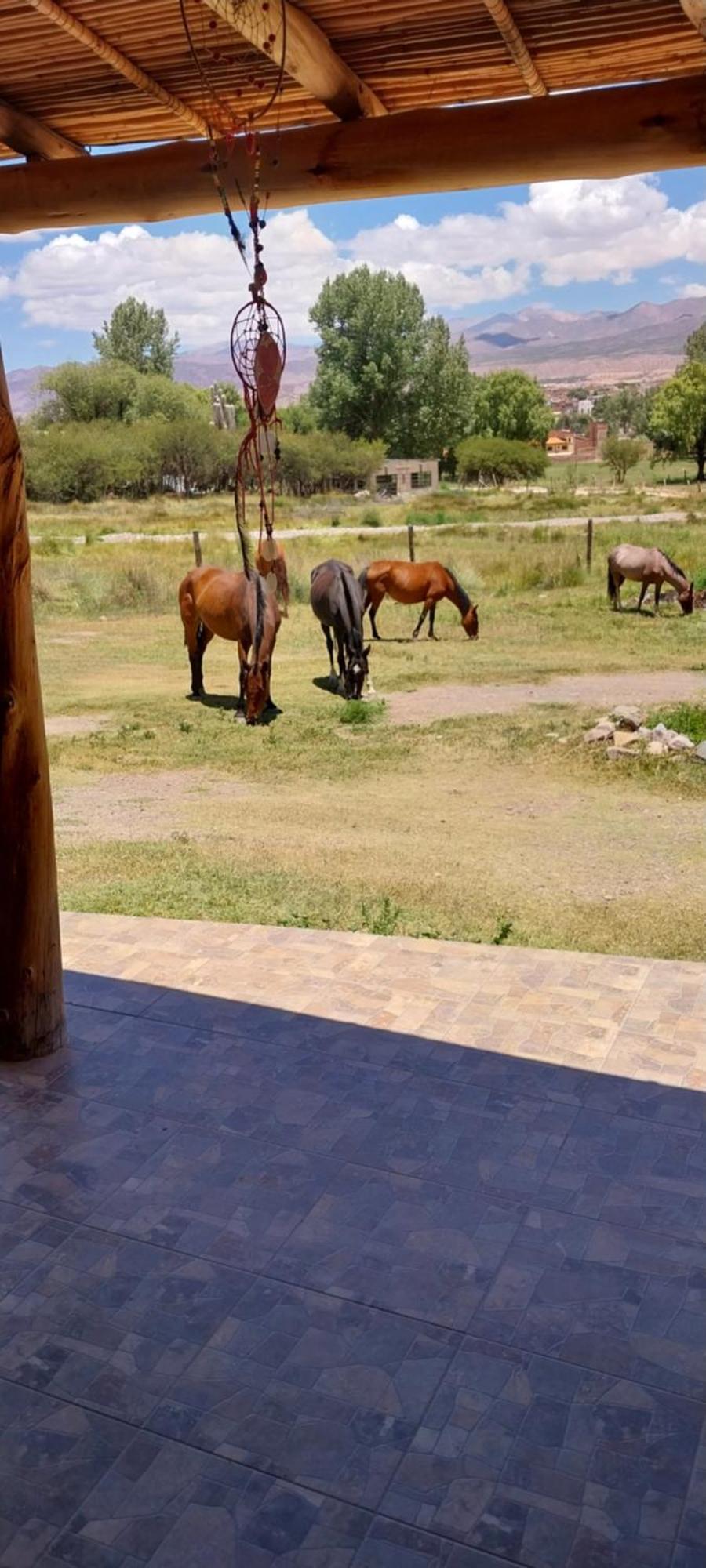 Hotel Cabanitas El Reposo Humahuaca Zewnętrze zdjęcie